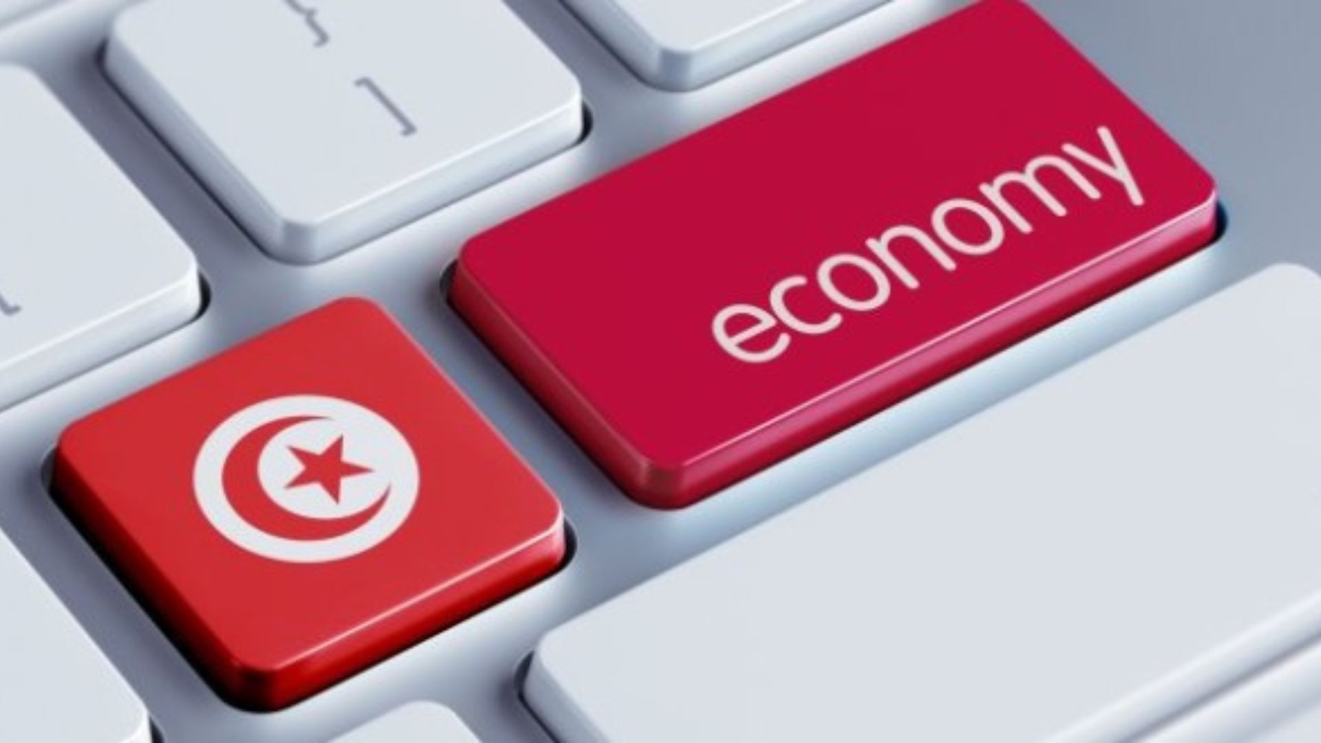 India Tunisia Business and Cultural Council - Culture of Tunisia in Tunisia Economy